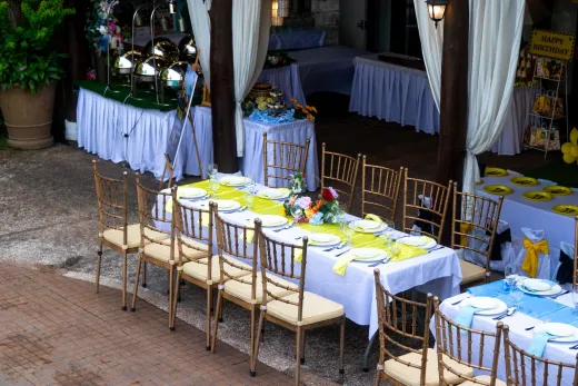 Party planner the complete guide - Wedding Planning & Budget