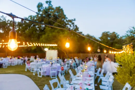 Wedding Guest: The Complete Guide