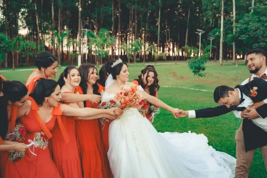 Wedding party the complete guide - Weddings (General)